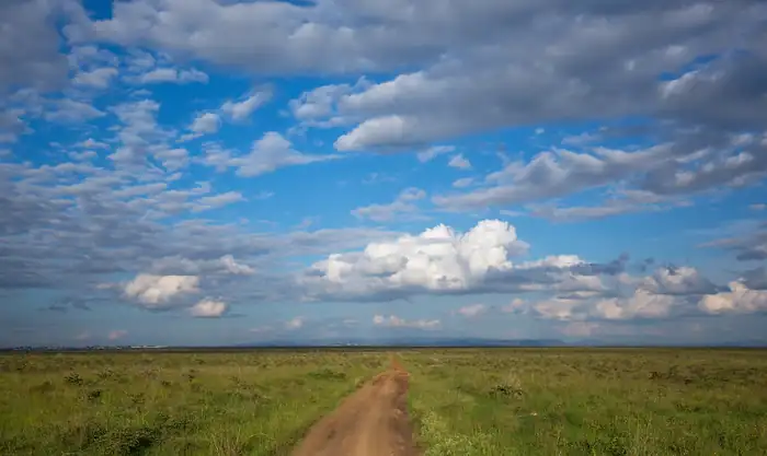 Dirt road running across open grassland